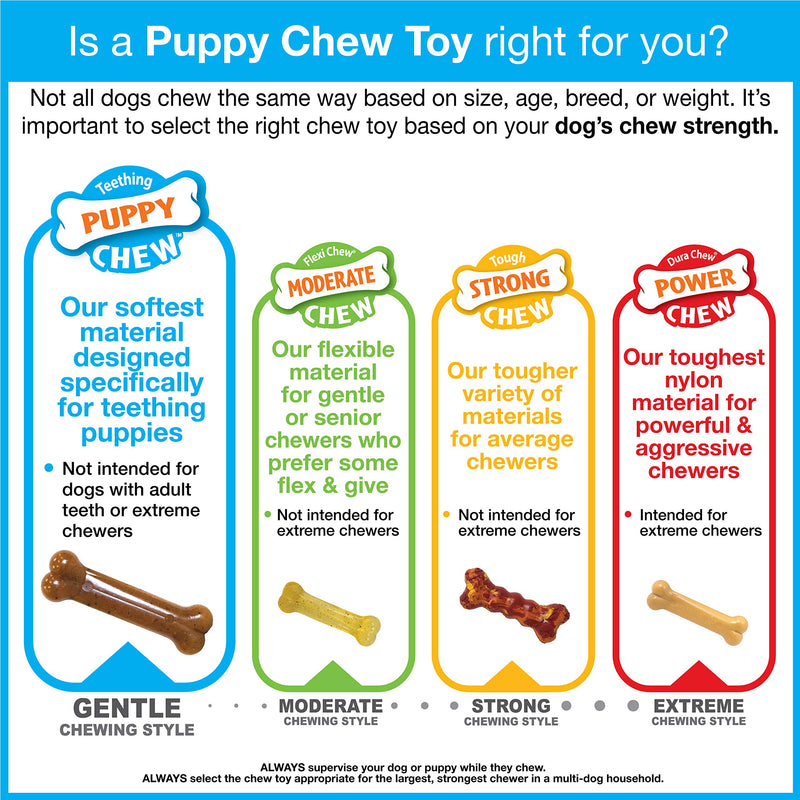 [Australia] - Nylabone Dental Kit for Small Puppies 