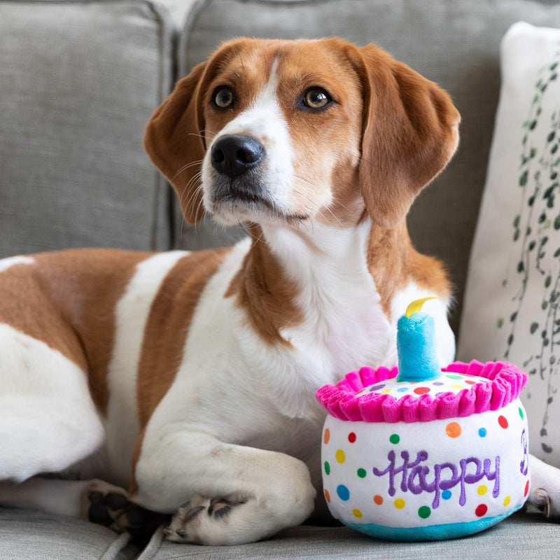 Lulubelles Power Plush Happy BARKDAY Cake-Small - PawsPlanet Australia