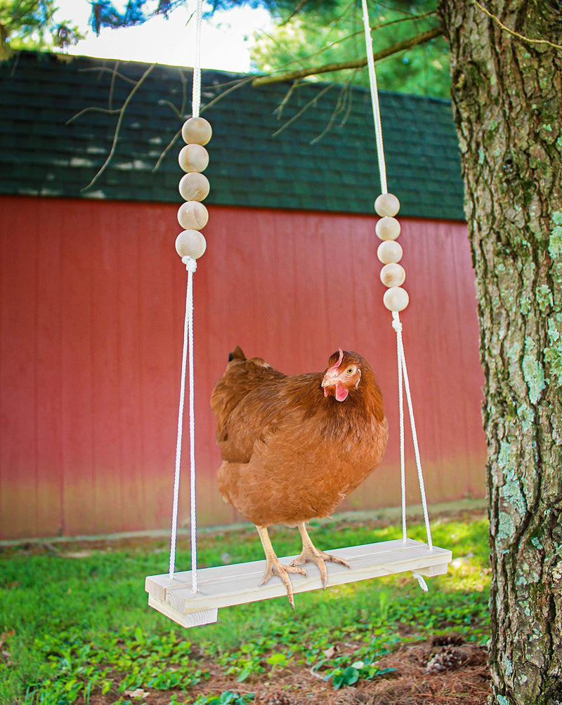 Chicken Swing Toy for Coop Natural Safe Wooden Accessories Handmade in USA! Large Durable Perch Ladder for Poultry Run Rooster Hens Chicks Pet Parrots Macaw Entertainment Stress Relief for Birds - PawsPlanet Australia