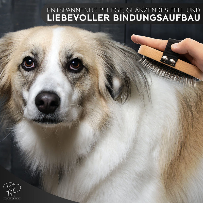 Pawz&Pawz dog brush long hair | Dog hair brush | Premium brush for dogs and cats for gentle grooming Grooming for dogs & cat brush | Dog comb with massage effect | Pet brush - PawsPlanet Australia