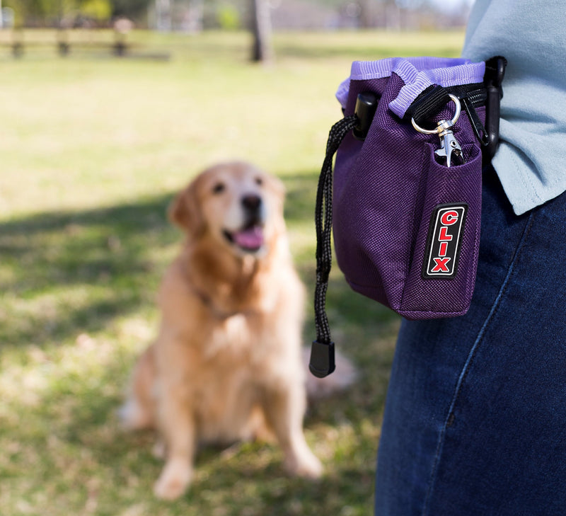 [Australia] - The Company of Animals COA Treat Bag Red 