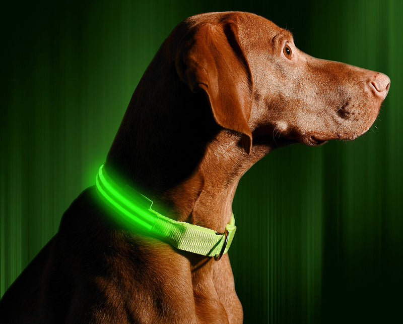 [Australia] - USB Charging Cable for The Illumiseen LED Dog Collar & Leash 