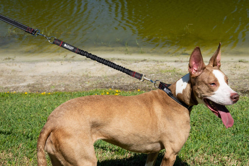 [Australia] - Leashboss Bungee Leash Extension - 18" Shock Absorbing Lead Extender 18 Inch Black Reflective 