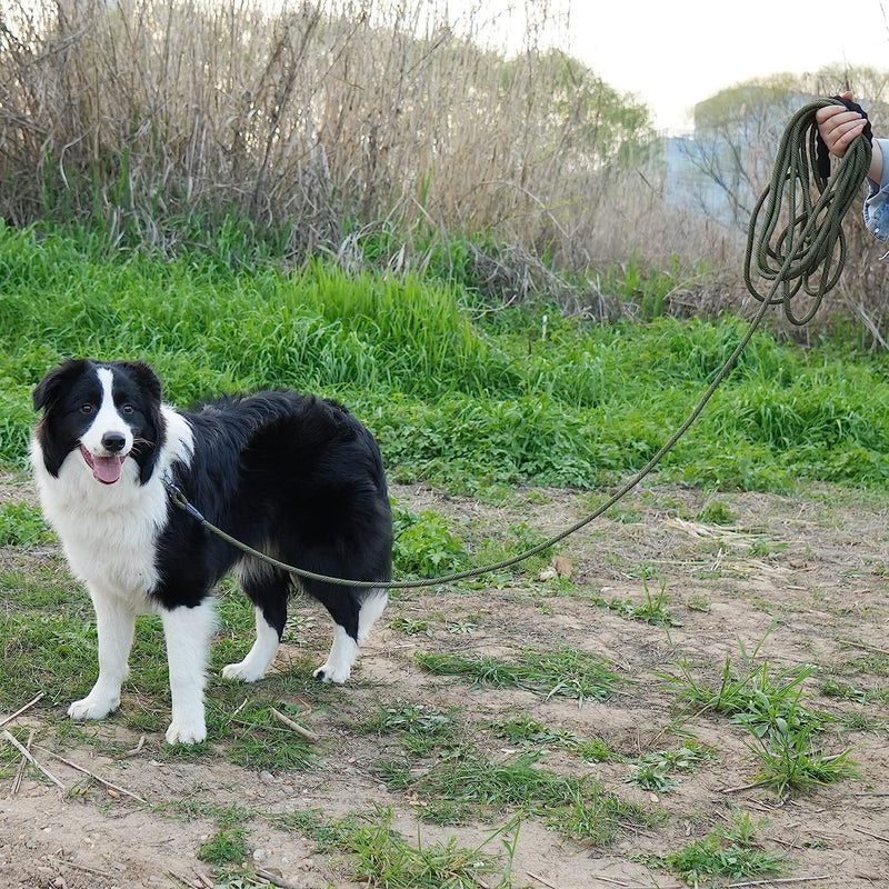 X - PawsPlanet Australia