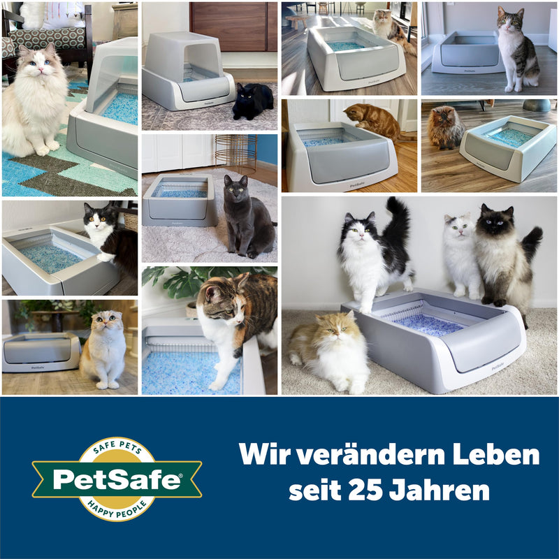 PetSafe ScoopFree replacement bowl with silicate cat litter, suitable for self-cleaning cat litter box PetSafe ScoopFree, pack of 3, up to 30 days freshness per bowl, blue - PawsPlanet Australia