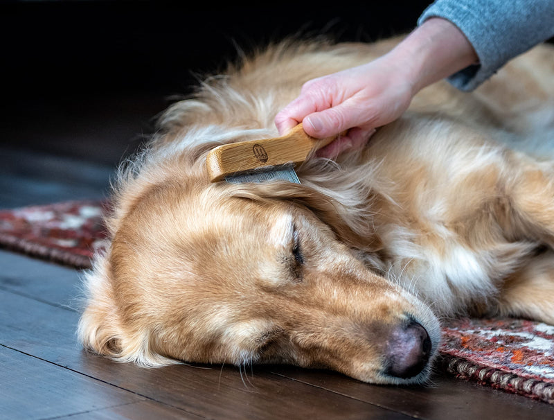 Mikki Bamboo Anti-Tangle Flea and Tick Removal Comb for Dog, Cat, Puppy, for All Coat Types, Removes Flea Eggs, Handmade from Natural Sustainable Bamboo - PawsPlanet Australia