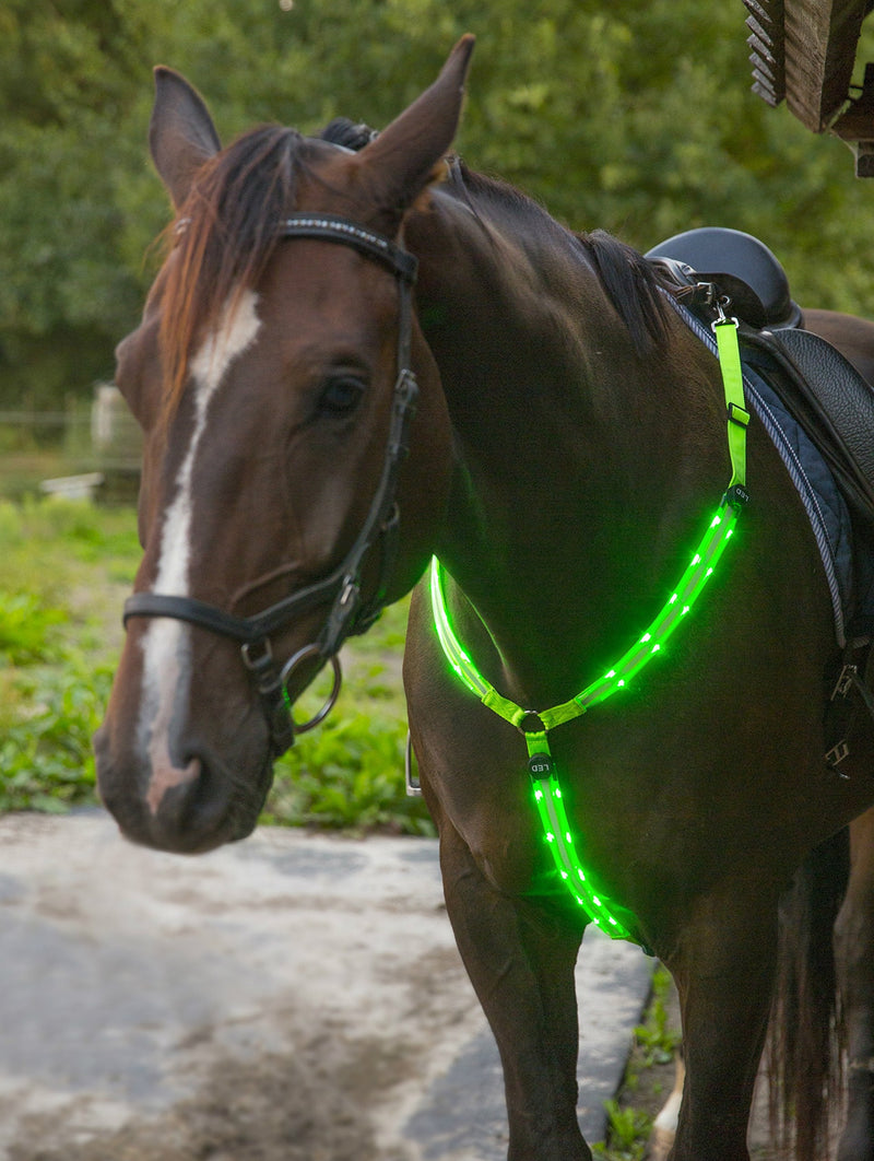 LED Horse Breastplate Collar - USB Rechargeable - Best High Visibility Tack For Horseback Riding - Adjustable, Sturdy & Comfortable Hi-Viz Equestrian Safety Gear - Makes Your Horse Visible and Seen Regular Neon Green - PawsPlanet Australia