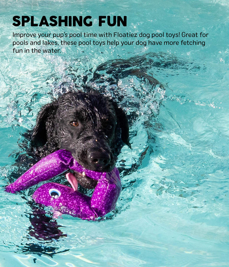 [Australia] - Outward Hound Floatiez Dog Toy - Floating Fetch Pool Toy, Great for Summer Water Fun Clown Fish 