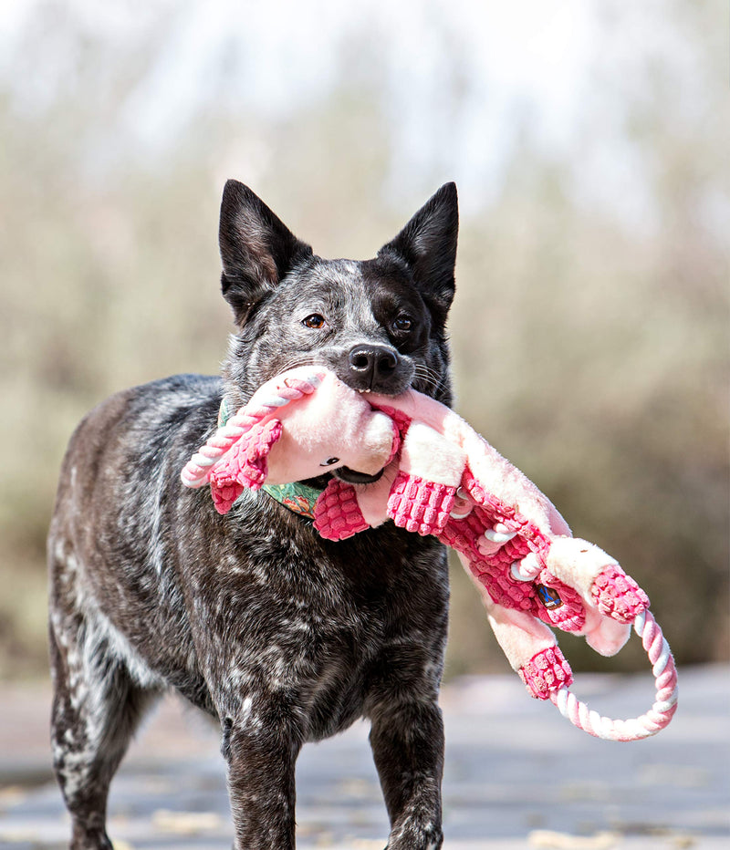[Australia] - Charming Pet Ropes-A-Go Squeaky Dog Toy - Tough and Durable Interactive Soft Plush Animal Tug Toy Dragon 