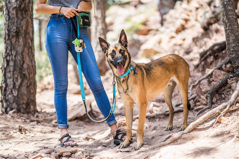 [Australia] - OllyDog Flagstaff Dog Collar, Sky Bark, Large 