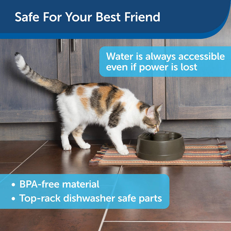 [Australia] - PetSafe Current Dog and Cat Water Fountain, Circulating Pet Drinking Fountain, Small to Large Breeds Forest 