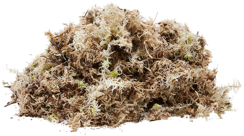 Komodo Habitat Moss, 1.5 Litre & Coconut Terrain, 6 Litre 1.5 l (Pack of 1) + Coconut Terrain, 6 Litre - PawsPlanet Australia