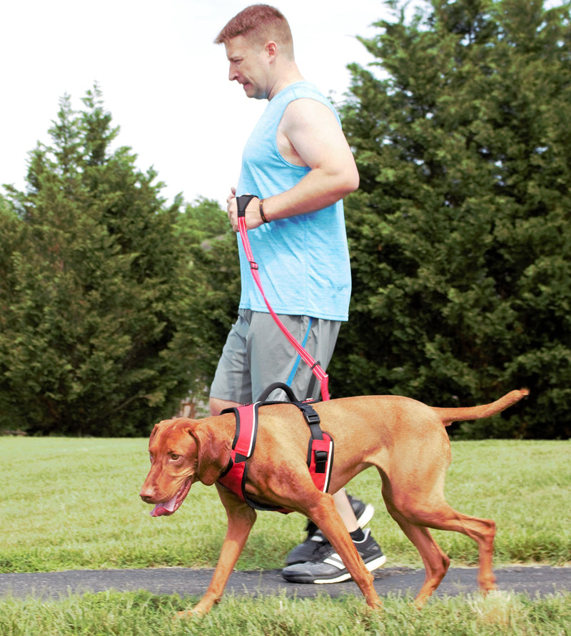 [Australia] - PetSafe Durable Nylon Leash with Padded Hand Wrap Royal Blue 