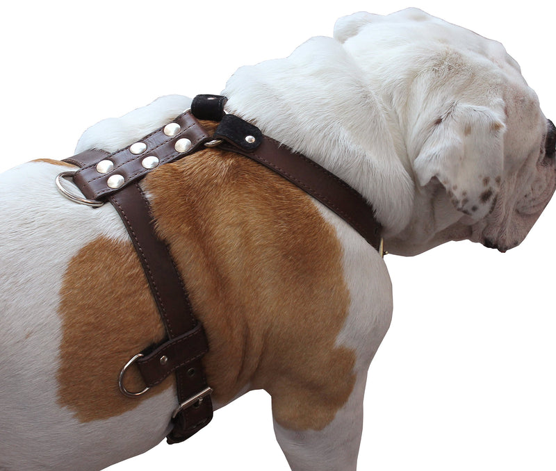 [Australia] - Genuine Leather Dog Harness Medium to Large 25"-32" Chest, 1" Wide Adjustable Straps Brown 