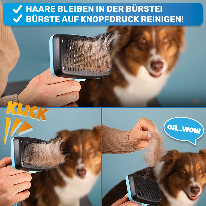 BluePet Dog Brush & Cat Brush for Long Hair - Gently Removes Undercoat, Tangles & Knots - Plucking Tool Version 2023 with Cleaning Button - For Daily Use (Blue) Blue - PawsPlanet Australia