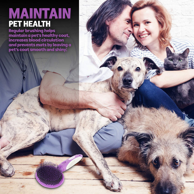 Round Bristle Pet Brush for Dogs and Cats - Gentle Grooming for Short or Long Hair - Soft Tool for Sensitive Skin Removes Dander, Dirt, and Detangles - Purple - PawsPlanet Australia