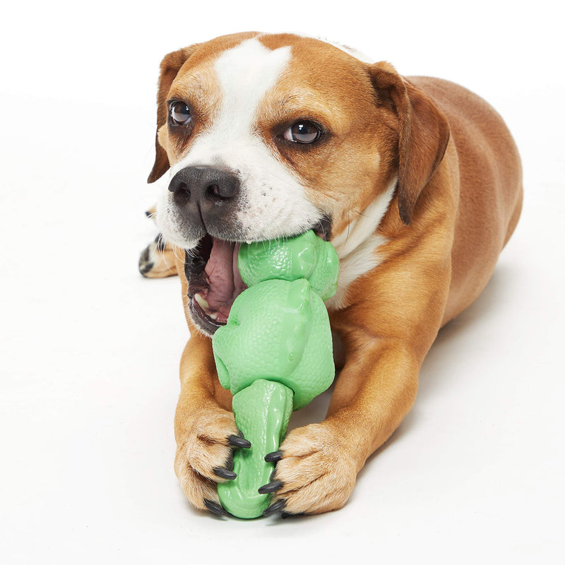 [Australia] - BarkBox Durable Rubber and Nylon Dog Chew Toy Ilana the Iguana Medium/Large Dog 