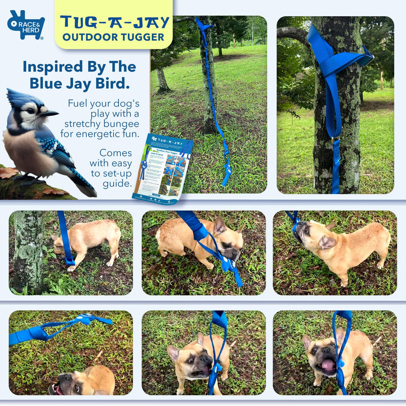 Race&Herd Tug-A-Jay - Dog Bungee Tug Toy, Tug of War Dog Toy Tree Tugger, Tether Tug of War | Adjustable 124" Rope Dog Toys, Dog Boredom Buster Toys | Squeaky Dog Toys & Crinkle Dog Toy Interactive Exercise Play Rope Cord, Tether Tug - PawsPlanet Australia