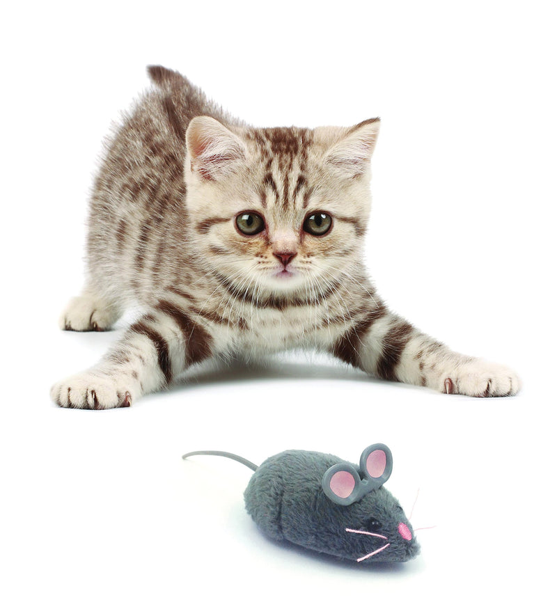 Hexbug Cat Toy mouse - PawsPlanet Australia