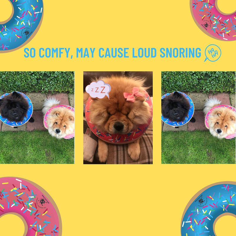 Inflatable Dog Collar | Great Alternative to a Dog Cone or a Dog Cone Collar | Our Super Comfy Dog Doughnuts Make Excellent Recovery Collars For Dogs | Suitable for Small Dogs (Blue) Blue - PawsPlanet Australia
