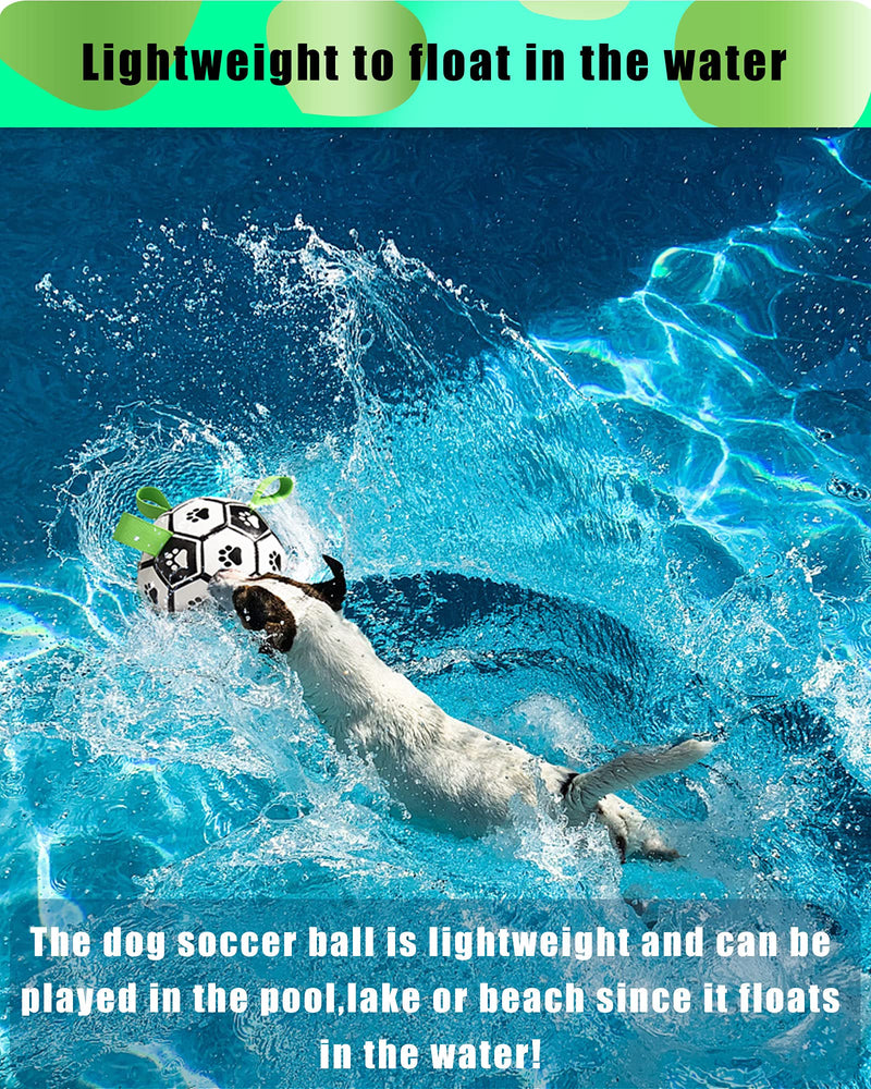 Dog-Soccer Ball-Interactive Water Toys-Tug of War-Dog Tug Toy Football for Small Medium Dogs-Dog Toys - PawsPlanet Australia