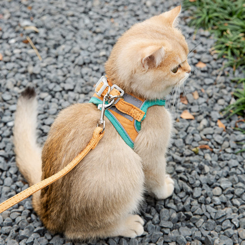 Step-in Cat Harness and Leash, Adjustable Comfortable Escape Proof Chest Vest, Soft Breathable Mesh Jacket with Reflective Strips, Easy to Wear and Control, for Small Medium Pet Dog Kitten Puppy (S) S (Chest 7.9″ - 9.5″) - PawsPlanet Australia