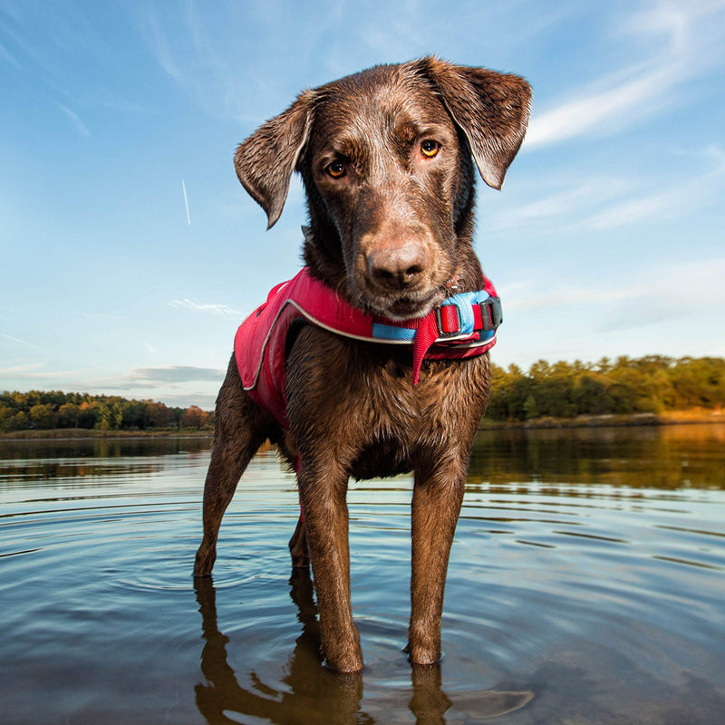 Kurgo Surf n' Turf Dog Life Jacket, Lifejacket for Dogs, Safety Doggy Floats, Reflective, Adjustable, Two Control Handles, for Small, Medium, Large Pets New Packaging - PawsPlanet Australia