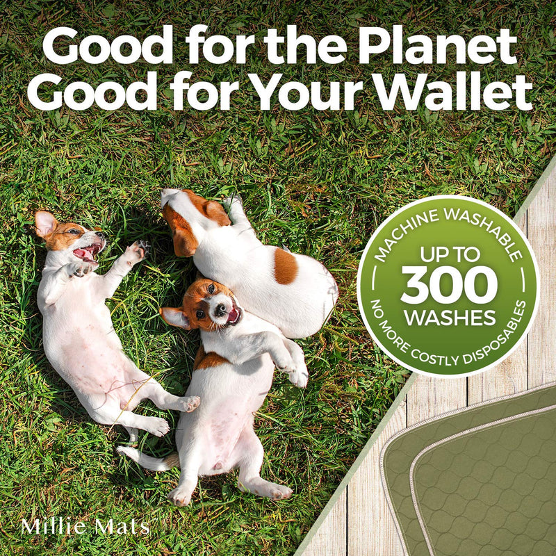 Millie Mats Washable Dog Pee Pads Extra extra large. Incontinent & Senior Dogs. Leak Proof to Protect Floors. Use for Whelping, Travel Mat or Indoor Potty Pad 112 x 160 cm (44"x63") (XXL) 112 x 160 cm - Single ARMY GREEN - PawsPlanet Australia