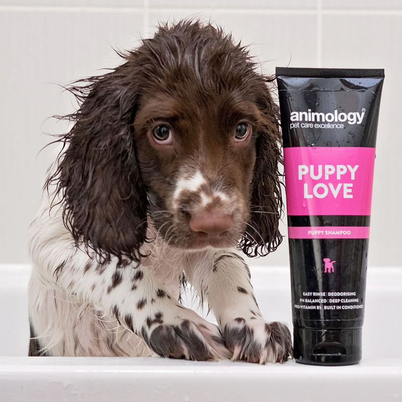 [Australia] - Animology Dog Shampoo Puppy Love Gentle Skin 250ml 