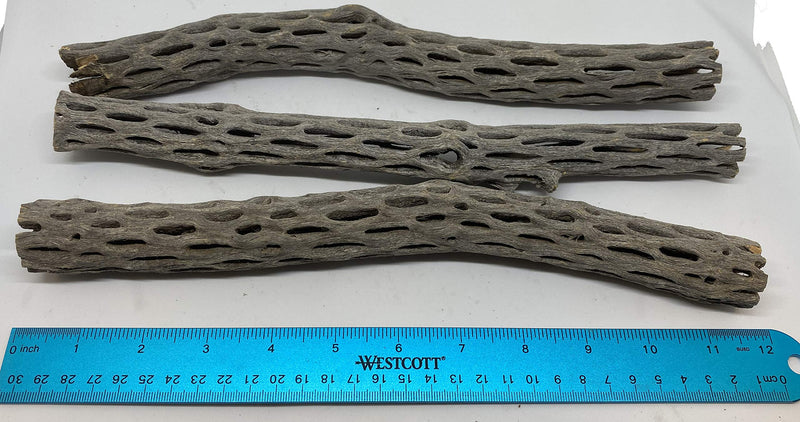 Awesome Aquatic Long Natural Cholla/Choya Wood 3 Pieces 12” for Shrimp Habitat and Food Treat Hermit Crabs Plecos Aquarium Decoration Lowers pH Hideouts and Chew Toys Reptiles Organic - PawsPlanet Australia