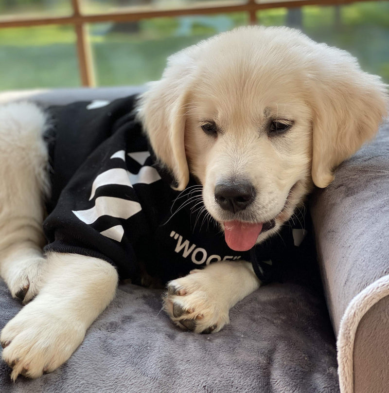 [Australia] - ChoChoCho Woof Dog Hoodie Pet Clothes Stylish Streetwear Cotton Sweatshirt Fashion Outfit for Dogs Cats Puppy Small Medium Large Black with White Stripe 