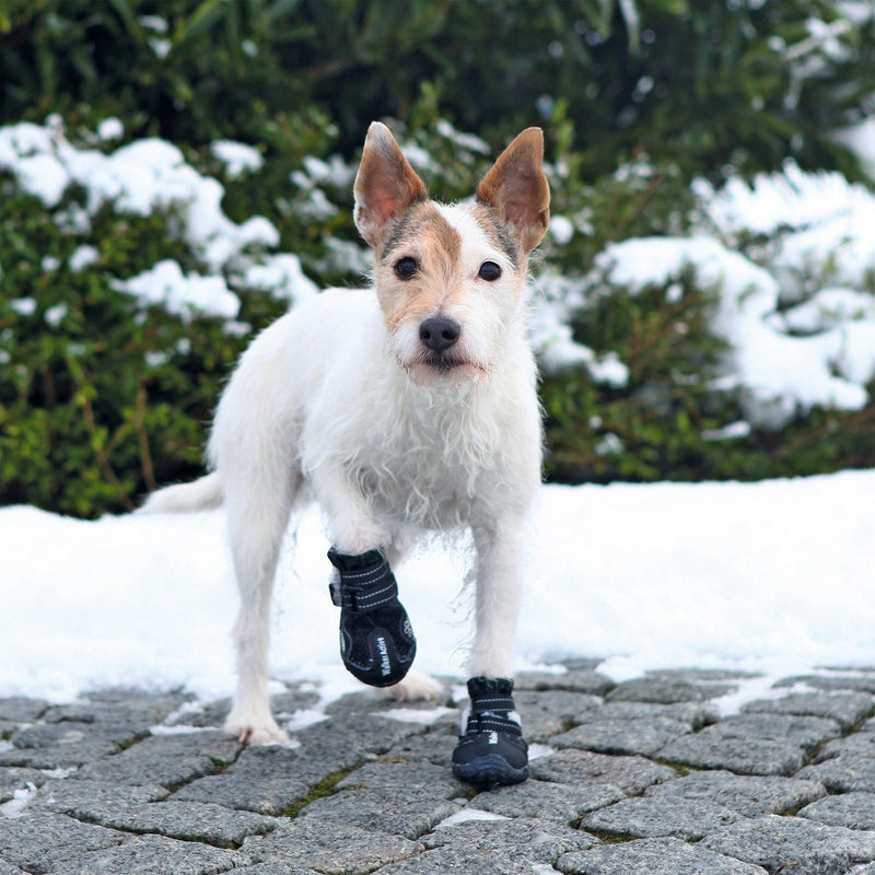 Trixie Walker Active Protective Boots, Medium, Black, M - Size 4 - PawsPlanet Australia