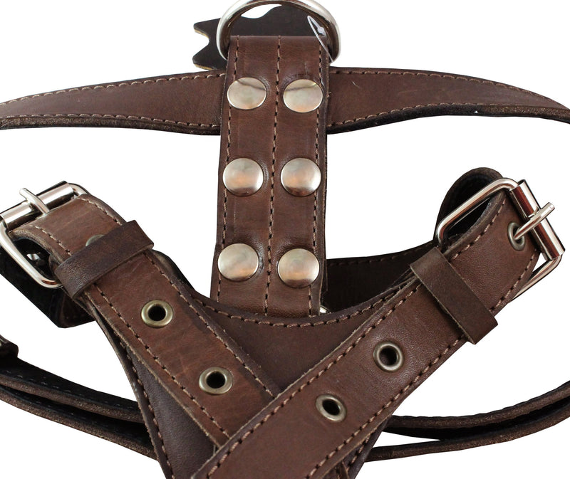 [Australia] - Genuine Leather Dog Harness Medium to Large 25"-32" Chest, 1" Wide Adjustable Straps Brown 