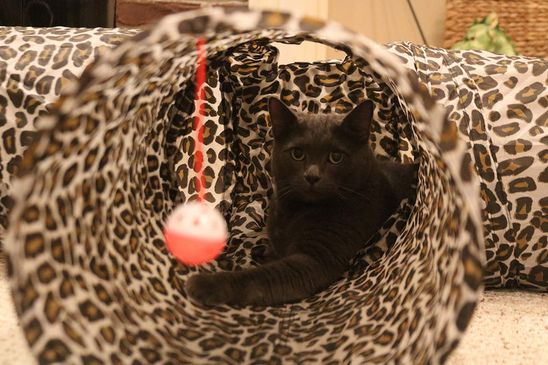 Feline Ruff Premium 3 Way Cat Tunnel. Extra Large 12 Inch Diameter and Extra Long. A Big Collapsible Play Toy. Wide Pet Tunnel Tube for Other Pets Too! Animal Print - PawsPlanet Australia