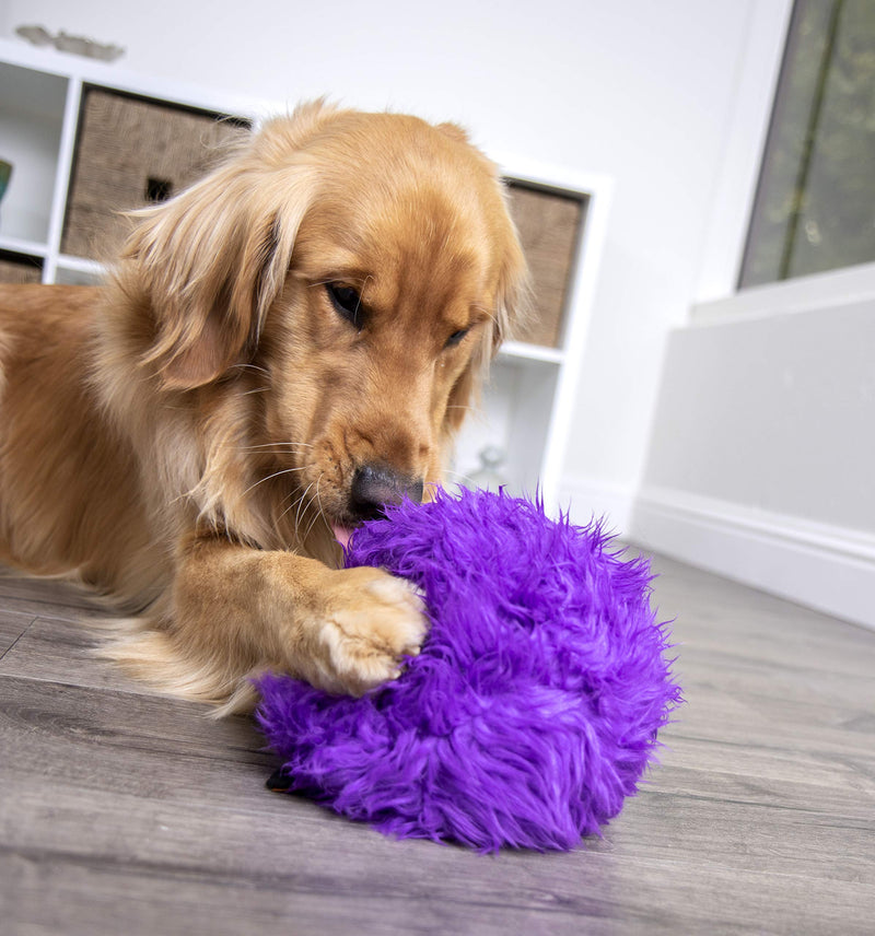 [Australia] - goDog Plush Dog Toy Large Purple 