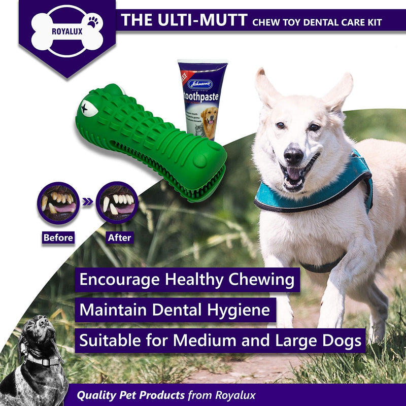 ROYALUX Ulti-Mutt Dog Toothpaste and Chew Toy Dental Care Kit, Durable Dog Chew Toy Toothbrush Bundle for Teeth Cleaning, Johnsons Toothpaste Beef Flavour, Interactive Hygiene - PawsPlanet Australia