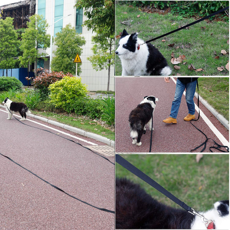 [Australia] - Petescort Dog/Puppy/Cat Obedience Recall Training Long Dog Leash-Training Leash for Yard 30 Feet 50 Feet 20 Feet 15 Feet-Long Line Leash (15 Feet Black) 