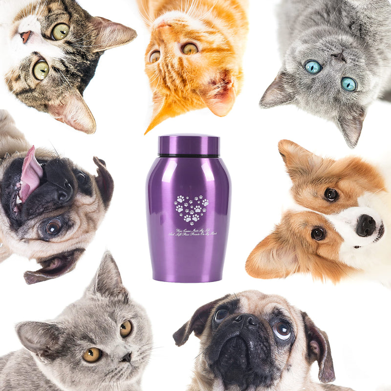 Youdear Service Pet Cremation Urns, Dog and Cat Ashes Urns, Pet Memorial Urns, Dog Urns for Ashes, Cat Urns for Ashes (Medium, Purple) Medium - PawsPlanet Australia