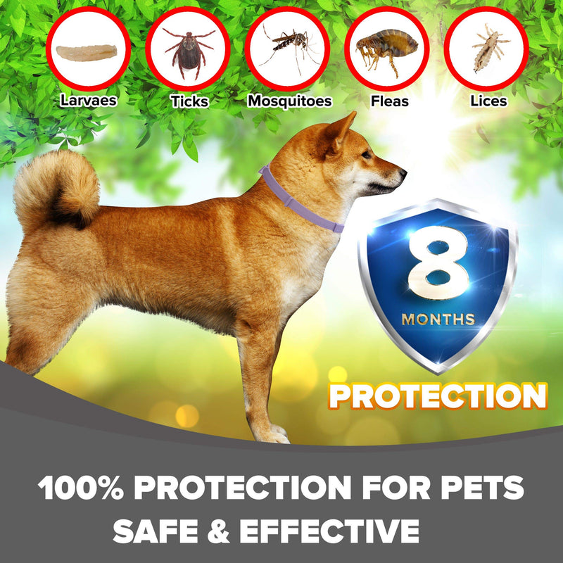 Toldi Flea-Treatment-for-Dogs, Adjustable Flea-Collar-Dogs, 8 Months Protection Flea-and-Tick-Treatment-for-Dogs Puppy Collar Small-Medium-Large Tick & Lice Repellent, Waterproof Spot On GREY 1 PACK - PawsPlanet Australia
