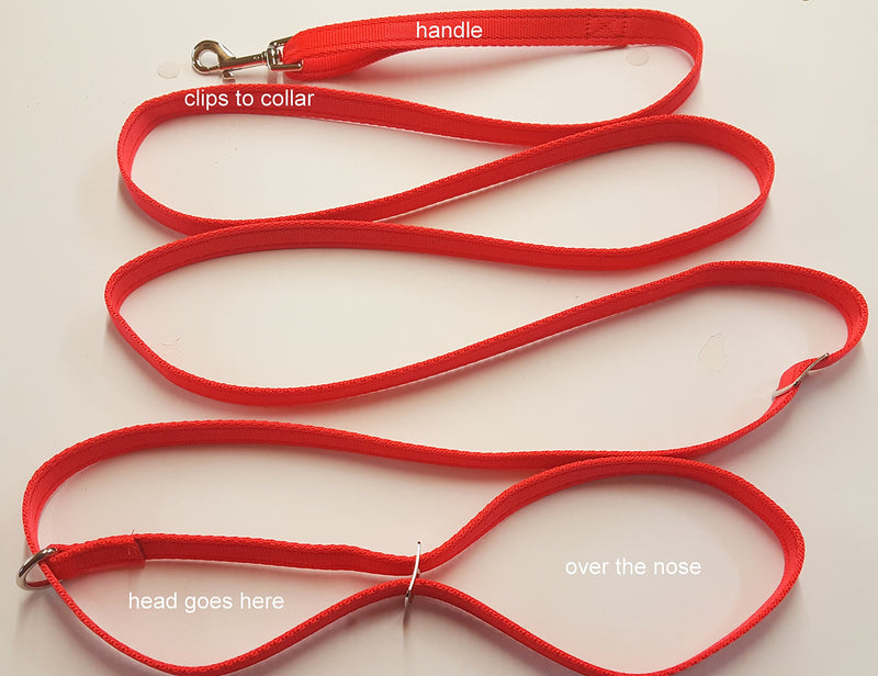 3 Meter CUSHION WEB FIGURE OF EIGHT DOG HEADCOLLAR WITH CLIP TO COLLAR MADE FROM SOFT CUSHION WEBBING STOPS PULLING!! (CERISE) - PawsPlanet Australia