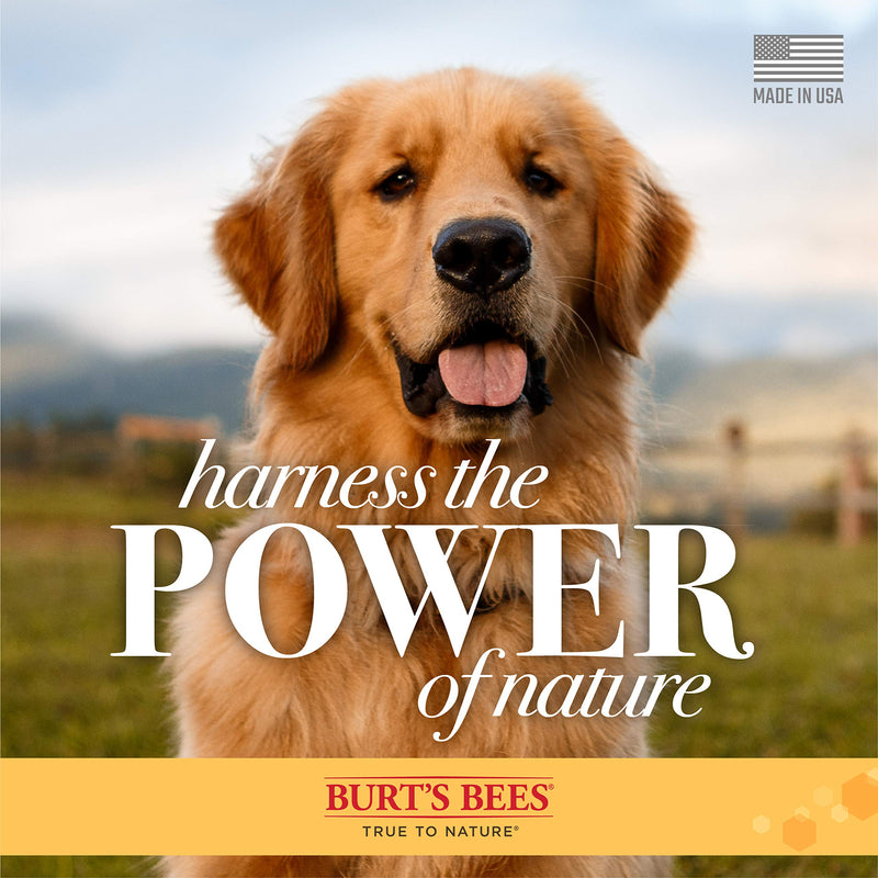 Burt's Bees for Dogs Care Plus Natural Nourishing Shampoo Relieving Ear Rinse Chamomile & Rosemary - PawsPlanet Australia