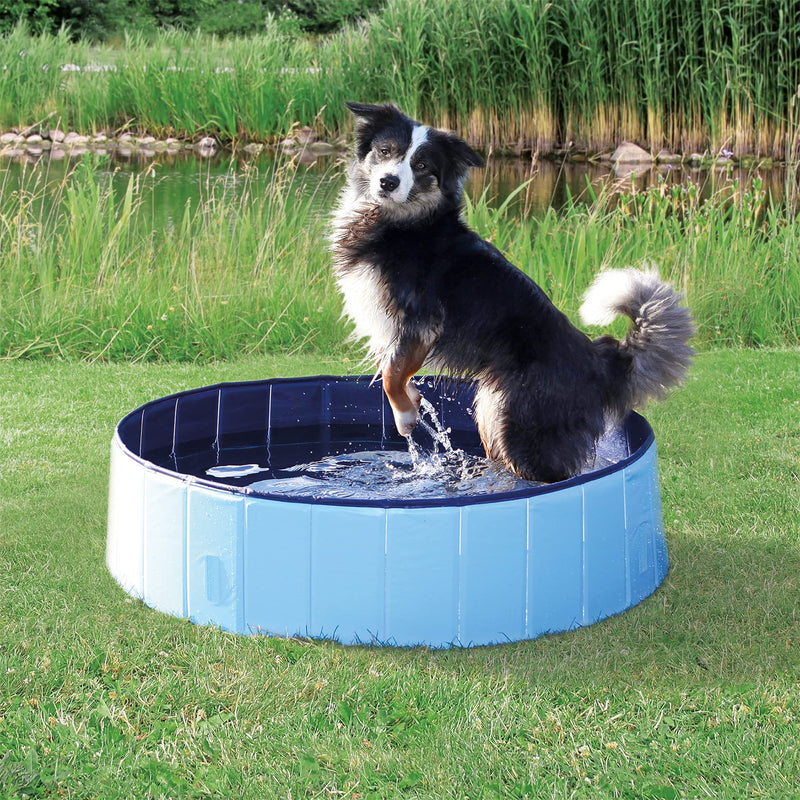 Trixie Pool for Dog, 30 x 120 Diameter, Light Blue - PawsPlanet Australia