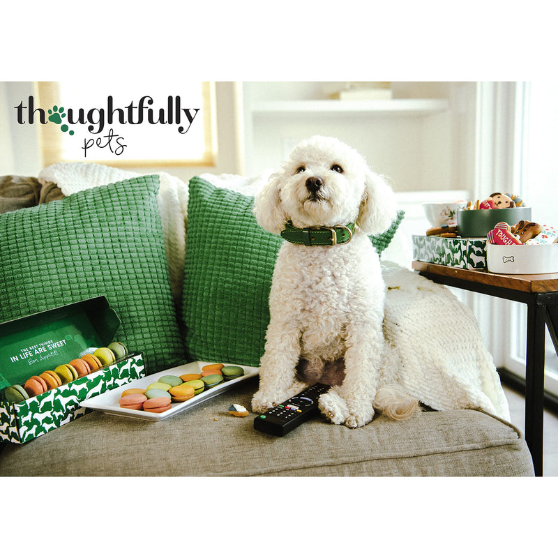 Modern Gourmet Foods - Dog Biscuits Gift Set of 8 Hand Decorated Dog Treats - Boy - PawsPlanet Australia