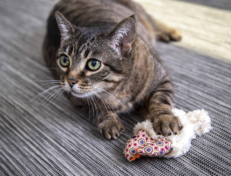 [Australia] - Petlinks Refillable Catnip Cat Toys Fresh Catch 