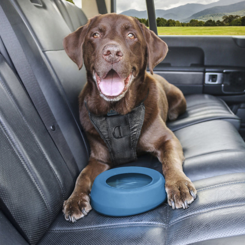 [Australia] - Kurgo No Spill Dog Travel Bowl | Portable No-Mess Water Bowl for Dogs | Splash Less Pet Bowl for Car Travel | Mess Free | Dog Travel Accessories | Splash Free Wander Water Bowl | Blue & Red | 24 oz 