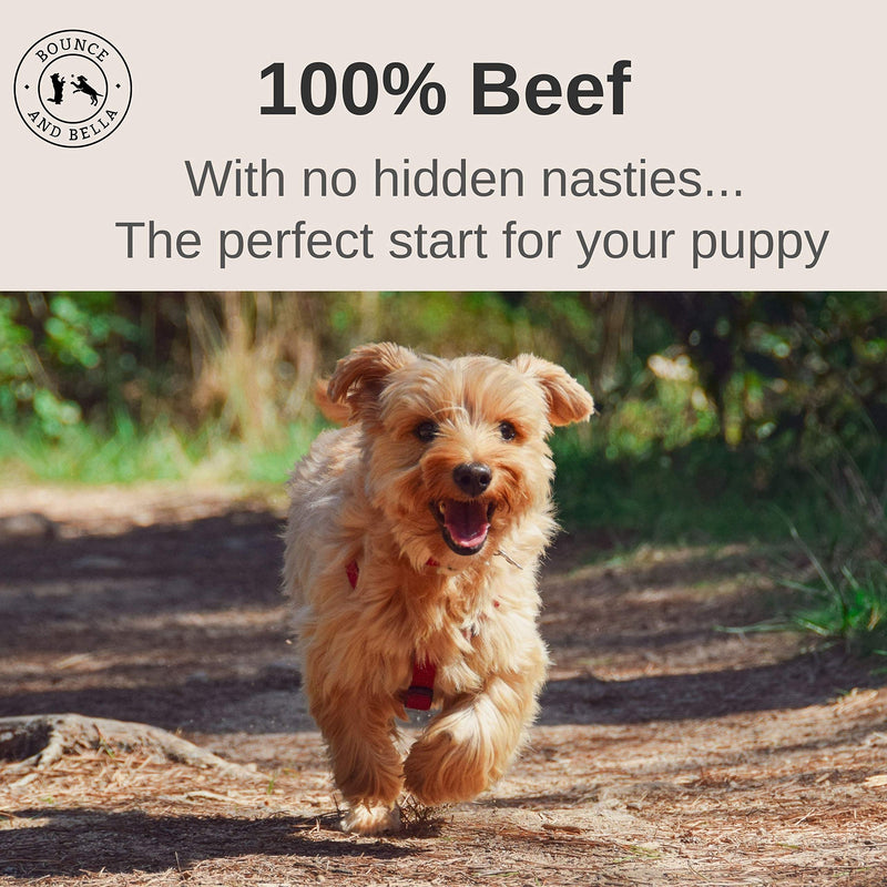 Bounce and Bella Pure Beef Nibbles – Just One Ingredient - Ideal as Puppy Training Treats from 8 Weeks – Natural Grain Free Dog Treats with No Nasties 100g 100 g (Pack of 1) - PawsPlanet Australia