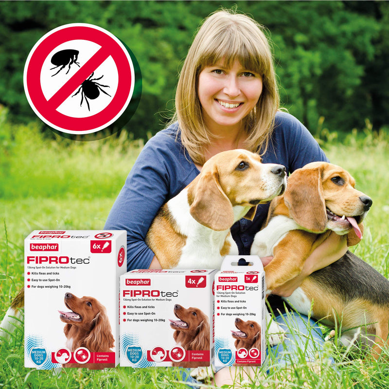 Beaphar Fiprotec Spot-On for Medium Dog, 4 Pipette - PawsPlanet Australia