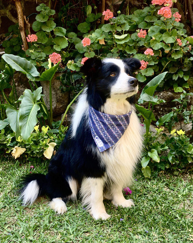 [Australia] - B&F 3 Pack Reversible Dog Bandana 3 Pieces - 6 Looks, Machine Washable Handmade pet Accessories. Scarves for Small, Medium,and Large Dogs. Mod. Paisley 