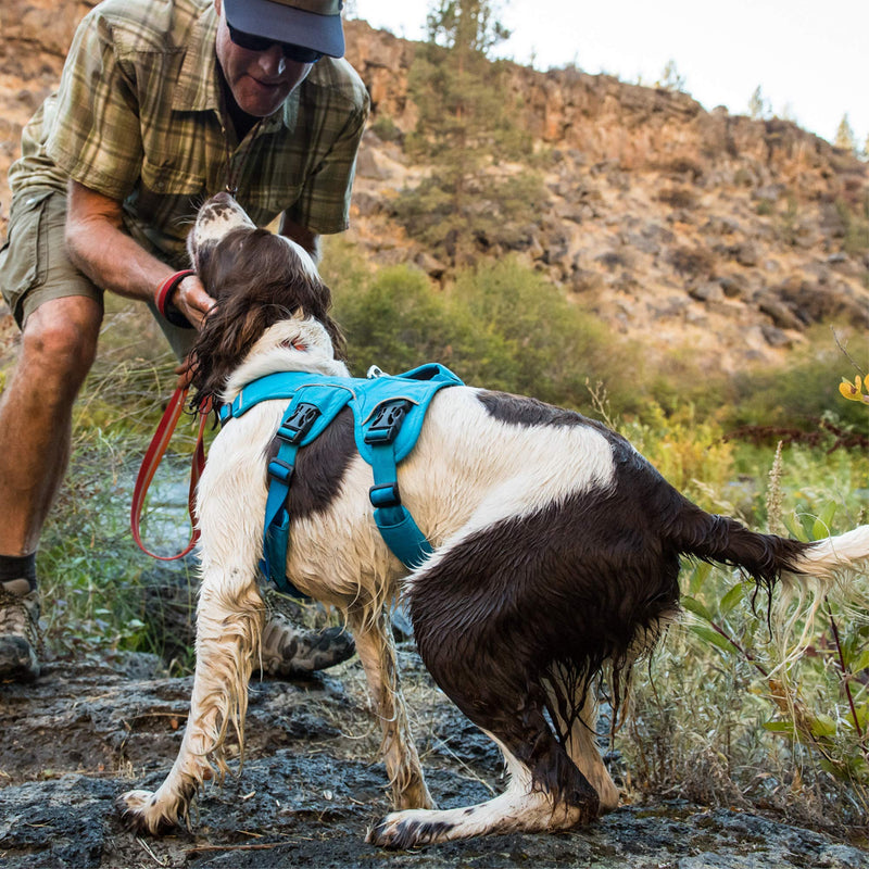 RUFFWEAR, Web Master, Multi-Use Support Dog Harness, Hiking and Trail Running, Service and Working, Everyday Wear Blue Dusk XX-Small - PawsPlanet Australia