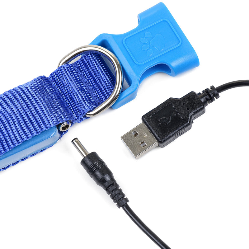 Illumiseen LED Dog Leash - USB Rechargeable - Available in 6 Colors & 2 Sizes - Makes Your Dog Visible, Safe & Seen 6 Feet Neon Green - PawsPlanet Australia